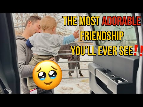 From Before He Was Even BORN To 1 Year Old - His Horse Has Never Left His Side 🥹