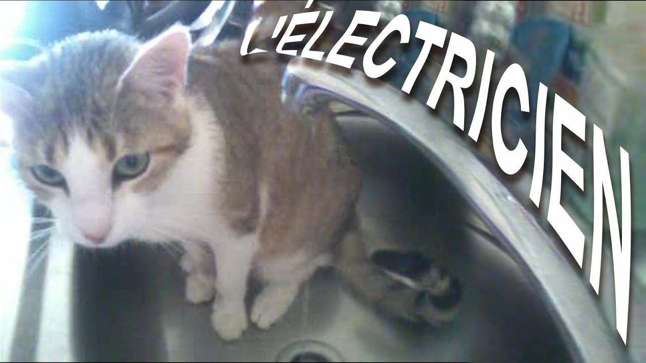 L'ÉLECTRICIEN - PAROLE DE CHAT