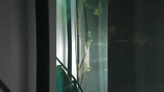 県道80号(狭路区間)を走ってみた。(ハプニング有り)