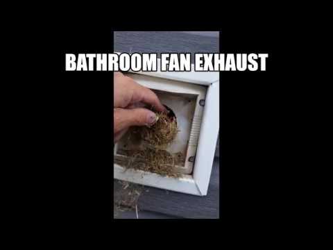 YouTube video about: How to get birds out of vents?