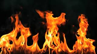 Hawkwind - The War I Survived (Live)