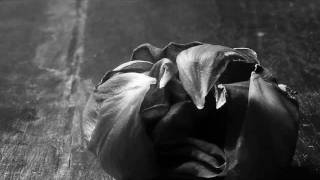 Diana Krall Boulevard of broken dreams