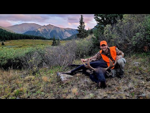 Four Days and Three Spots | 2023 Colorado Shiras Moose Hunt