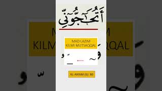 Download lagu HOW TO READ SURAH AL-AN'AM VERSE 80 CORRECTLY | SIGNS OF MAD MEETING TASYDID #hukummad #madlazim mp3