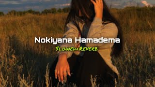 Download lagu Nokiyana Hamadema (Slowed Reverb) | Viraj Perera | SlowMo_LK mp3 Download lagu Nokiyana Hamadema (Slowed Reverb) | Viraj Perera | SlowMo_LK mp3