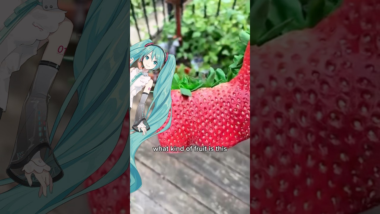 It’s a strawberry, Miku!