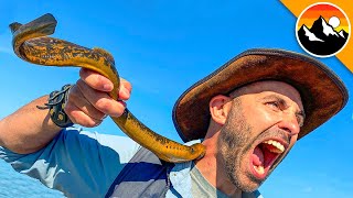 BITTEN by a VAMPIRE FISH!