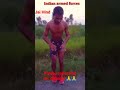 Short Short Videos Indian Army Workout Exercises Agniveer Videos