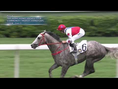 Hong Kong Race Replay - Sha Tin - May 18, 2019