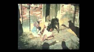 Cat Stevens    Katmandu