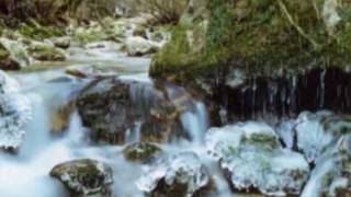 RAIN RIVER  (PAT METHENY)