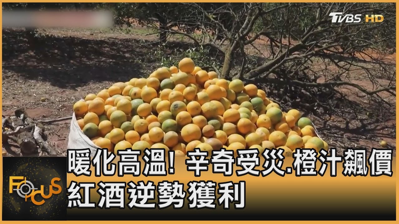 暖化高溫令「辛奇」受災.橙汁飆價 紅酒逆勢獲利