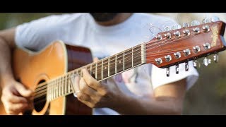 Video thumbnail for Swamp Dog Blues 12 String slide acoustic cover by Georgi Ignatov