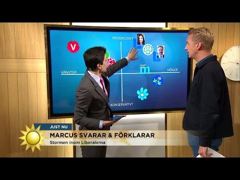 Marcus Oscarsson: "Liberalerna i djup kris" - Nyhetsmorgon (TV4)