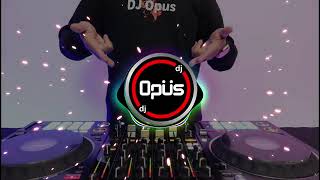 Download lagu DJ ENAK SUSUNYA MAMA REMIX TIKTOK VIRAL 2023 mp3
