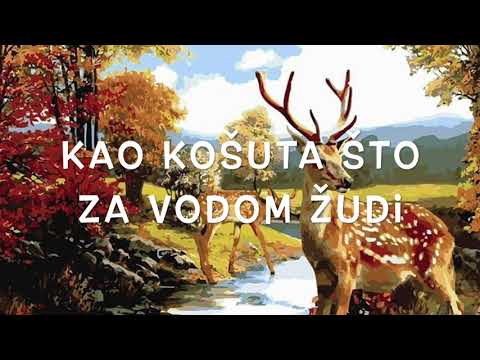 Kao košuta što za vodom žudi