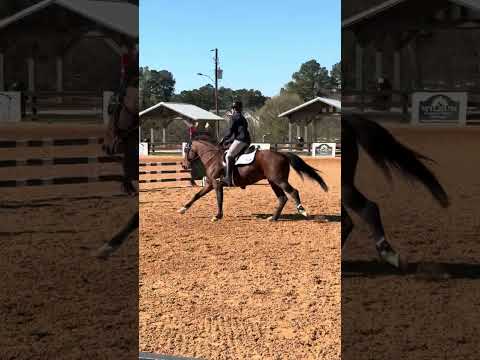AVIATOR video 5
