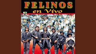 Lapiz Labial (En Vivo)