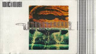 Mudskipper & Styward - Basic