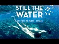 Still The Water (FULL MOVIE)