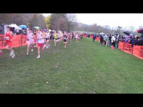 Class 3A Boys Race Highlights - IHSA State XC Championships 2024