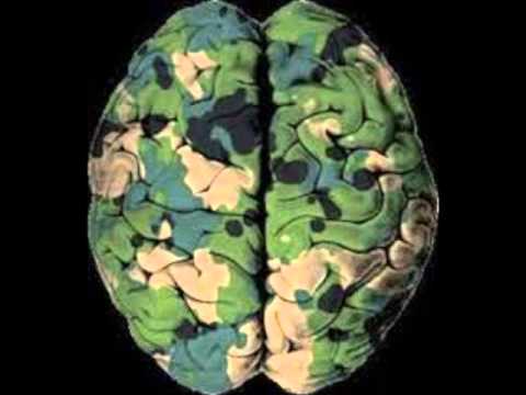 Mind Of A Soldier - C.O.G.( Fang Fang The Venom & The Double "II" Boy)