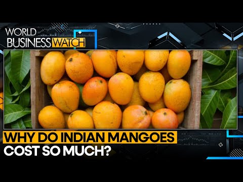 India Is the Largest Producer Of Mangoes | World Business Watch | WION