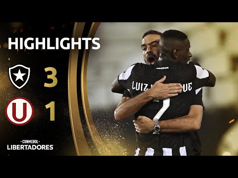 Resumen de Botafogo vs Universitario de Deportes Jornada 3