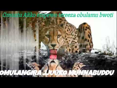 Omuntu Aliko empewo tereeza obulamu bwoti - Omulangira Jjuuko Munnabuddu