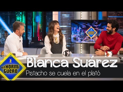 Pistacho se cuela en el plató - El Hormiguero