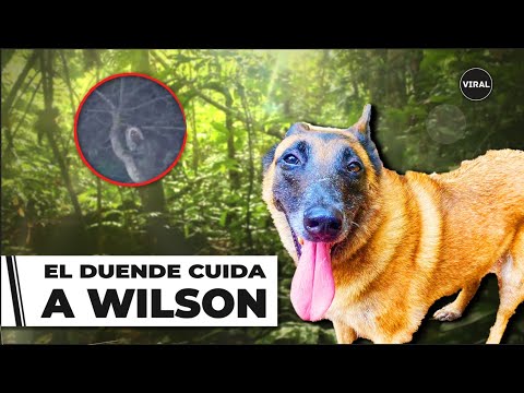 “Wilson” se intercambió por los niños de la selva, lo tienen los espíritus