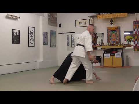 Detlef Decker Sensei, 5th Dan Aikikai