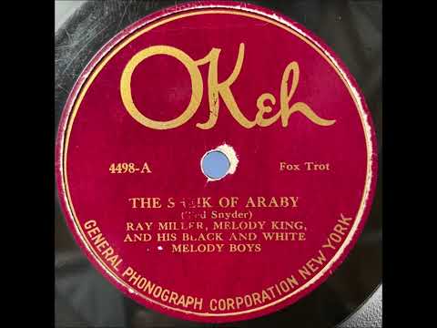 Ray Miller's Black And White Melody Boys "Sheik Of Araby" 1920 Dance Band 78 RPM