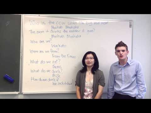 AIESEC Waikato Roll Call_01