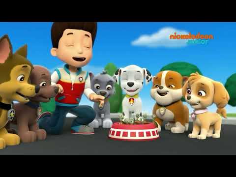 Paw Patrol - 《Pengamanan Kura-kura》 [Bahasa Indonesia]