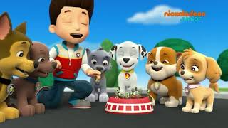 Download lagu Paw Patrol - 《Pengamanan Kura-kura》 [Bahasa Indonesia] mp3