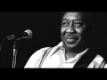 Muddy Waters- Five Long Years (Live)