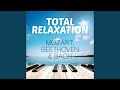 Violin Concerto No. 3 in G Major, K. 216: II. Adagio