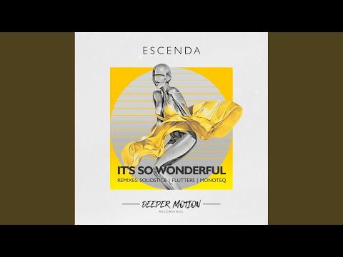 It's So Wonderful (Original Mix)