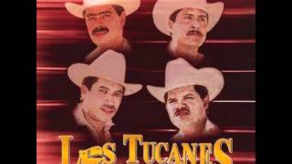 Los Tucanes De Tijuana-Tu eres 1990