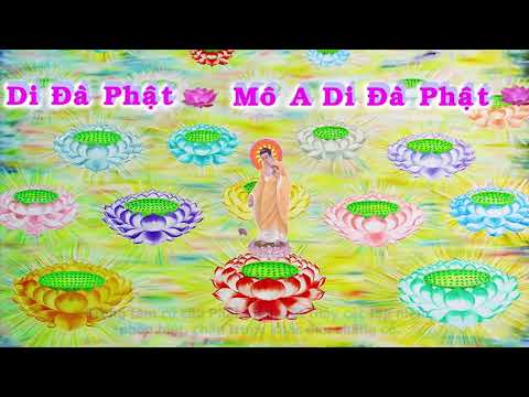 HD | Kinh A Di Đà Sớ Sao Diễn Nghĩa, tập 281 [phụ đề] - Lão Pháp Sư Tịnh Không