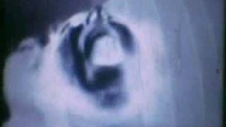 LIKE A GHOST (Steve Kilbey)