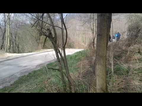 8 Rally Del Grifo 2017