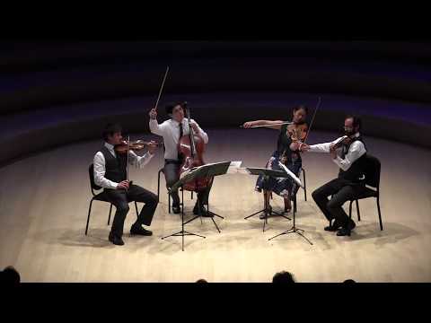 Telegraph Quartet: Dvořák - String Quartet No. 105, B. 193: I.