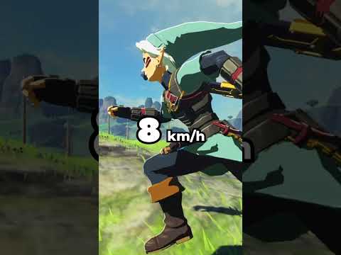 Zelda BotW, aber ALLES ist unvorstellbar SCHNELL!!