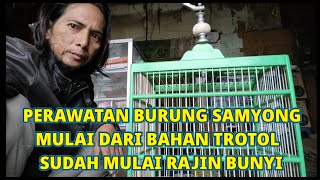 Download lagu BURUNG SAMYONG/BURUNG 1001 SUARA PENGEPURAN DAN PERWATAN mp3 Download lagu BURUNG SAMYONG/BURUNG 1001 SUARA PENGEPURAN DAN PERWATAN mp3