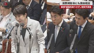 【速報】消費減税、秋にも国会提出 首相「結論先取りせず」 衆院予算委