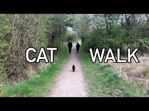 Martin's walk to the lake with more humans than usual