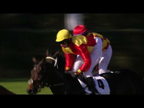 13. 10. 2019 - 5. dostih - Cena hejtmana Pardubického kraje - Cena Vltavy