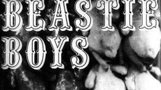 Beastie Boys-Riot Fight